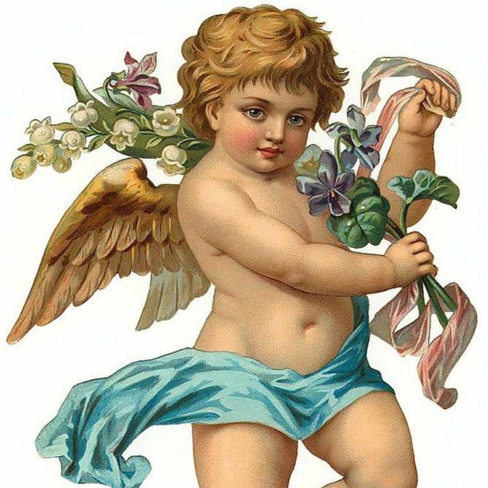 Meet your Posher, Isabelle